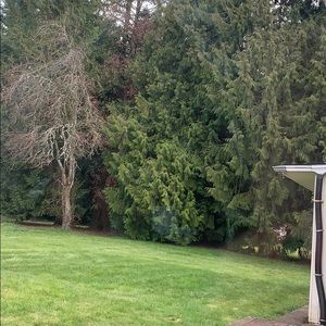 Meet your Posher, Cody